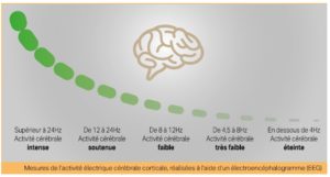 Mesures de l'activité électrique cérébrale corticale, réalisées à l'aide d'un EEG
