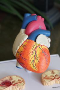 coeur-respiration-coherence-cardiaque